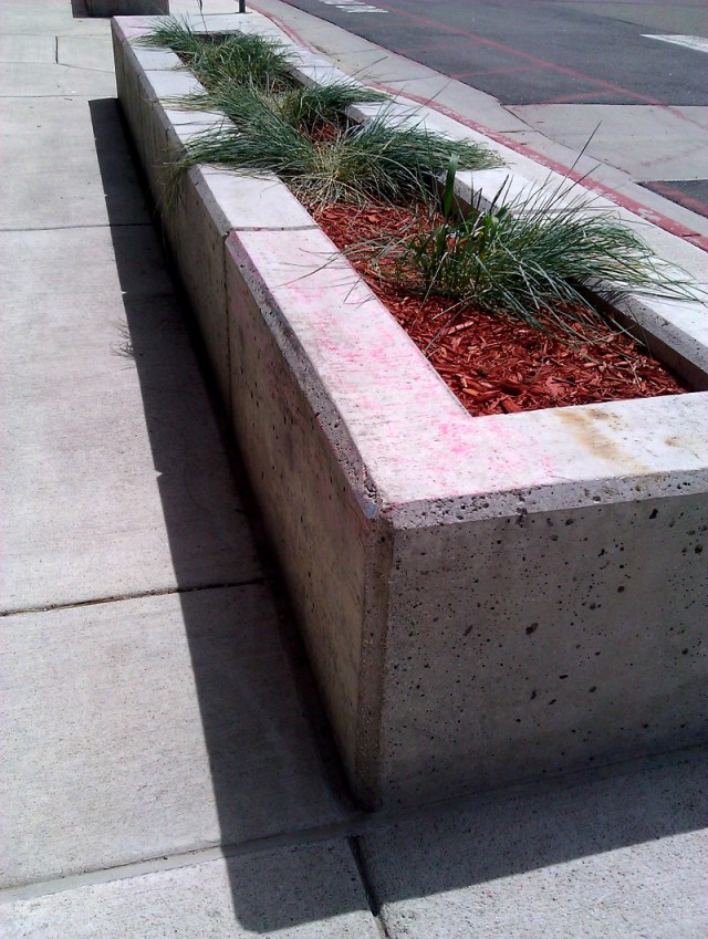 pink planters